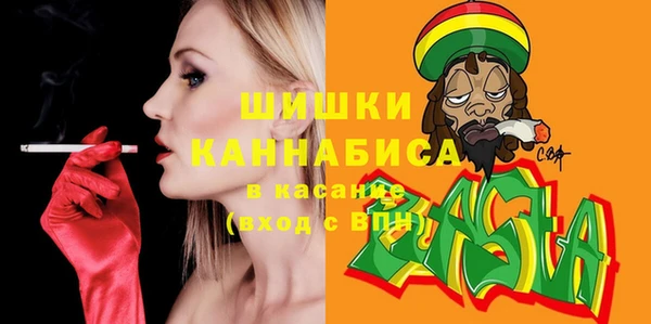 сатива Елизово