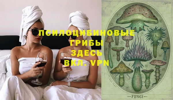 сатива Елизово