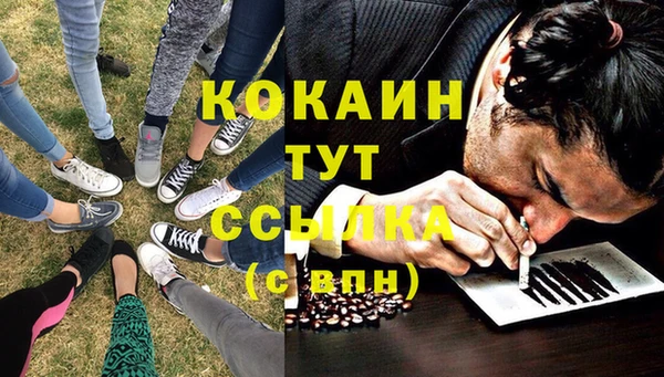 соль ск Елабуга