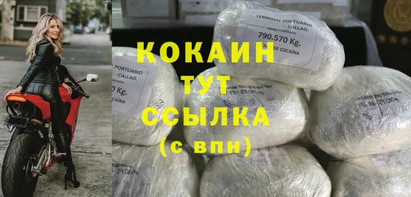 сатива Елизово