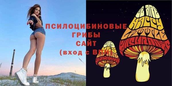 соль ск Елабуга