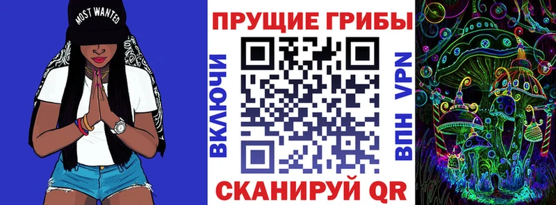 Купить закладки  Пугачёв  Псилоцибиновые грибы мицелий 